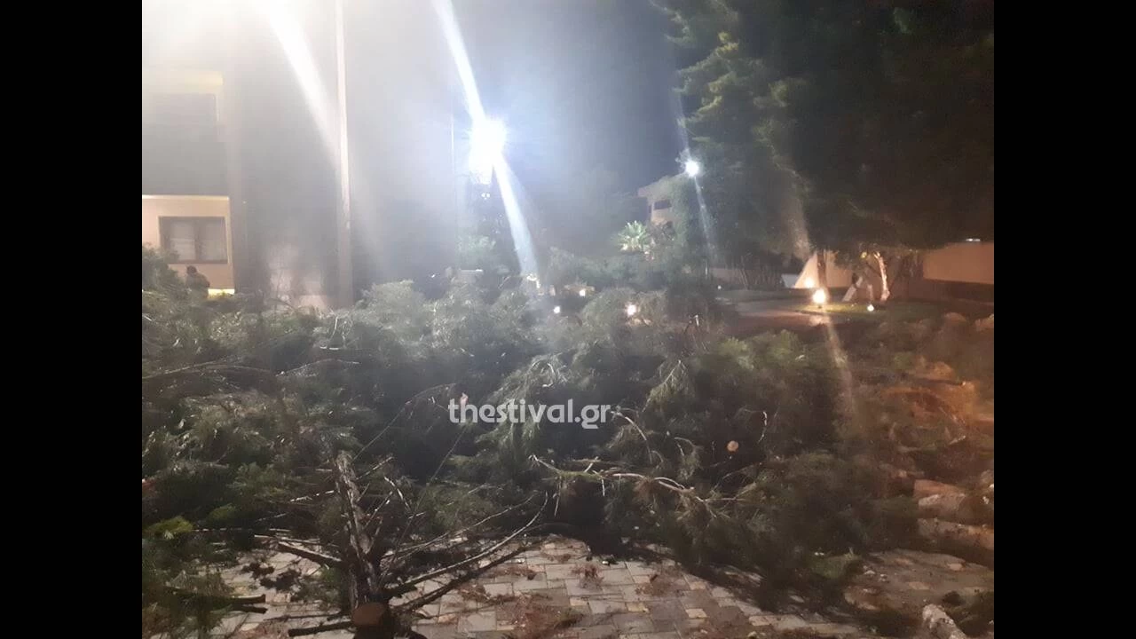 Πέτσας: Πρέπει να δούμε πώς το μήνυμα της αυτοπροστασίας θα φτάνει σε όλους